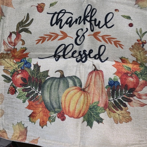 🦃THANKSGIVING 🦃PILLOW COVER🦃 - Picture 3 of 9